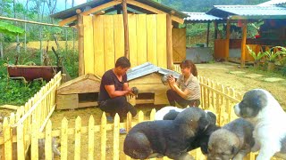 Build a fence to protect newborn puppies  Everyday life works to make money [upl. by Lubin]