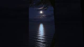 Moonbeams on the Water A Soothing River Side Evening RiverSideCalm MoonlightReflectionsubscribe [upl. by Sumahs]