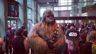 Chewbacca hiding in plain sight [upl. by Junie]