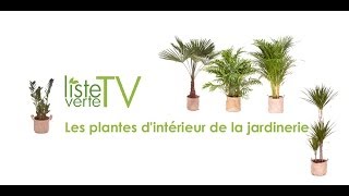 JARDINERIE EN LIGNE LISTE VERTE [upl. by Lukey]