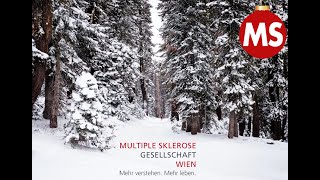 Weihnachtswünsche der MSGesellschaft Wien [upl. by Saval]