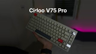 stock CIDOO V75 typing test [upl. by Crowley]