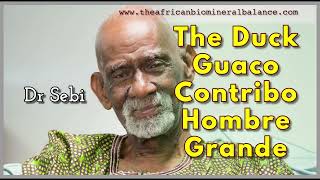 DR SEBI  THE DUCK GUACO CONTRIBO HOMBRE GRANDE IRON [upl. by Lorollas]