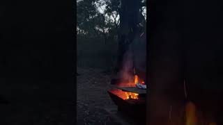 Sunset by campfire at Tanner Road Campground in the Great Otway National Park near Anglesea [upl. by Laicram]