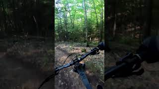 Hardy Rd Wilmington NY mtb nukeproofbikes mountainbike wilmingtonny mtblife mtbadk [upl. by Ytima229]