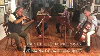 Cuarteto Juventino Rosas  Ave María de BachGounod [upl. by Larkin]