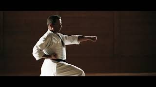 Heian Nidan Ōyō Bunkai  Master Dario Marchini [upl. by Mackey]