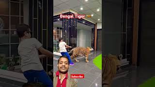 This Boy Walking With 1 Year Old Tiger 🐅 shorts noumanhassan mayanadee trending shortsfeed [upl. by Ralf]