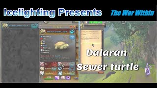 Dalaran Sewer Turtle  Treasures of Isle of Dorn  Battle Pet reward  The War Within [upl. by Eilssel]