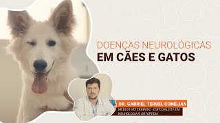 Doenças Neurológicas  VetReponde  PremieRpet [upl. by Osrock283]