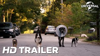 Strays  Official Trailer  Thai Sub  UIP Thailand [upl. by Lienad]