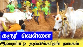 கரூர் வெள்ளை வெறித்தனமான ஆட்டம் ஆவாரம்பட்டி ஜல்லிக்கட்டு  aavarampatti jallikattu [upl. by Ajtak]