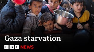 Evidence that Israel is using starvation as weapon of war in Gaza says UN  BBC News [upl. by Cletus]