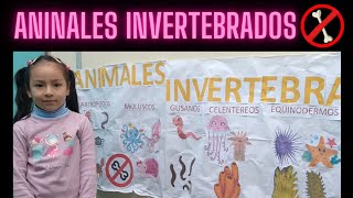 Clasificación de ANIMALES INVERTEBRADOS para niños [upl. by Aruasor]