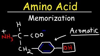 Memorize The 20 Amino Acids  The Easy Way [upl. by Macfadyn793]