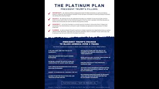 The Platinum Plan Was Our Way Out reparations joebiden blackpeople [upl. by Azaleah328]