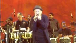 RUBEN BLADES SUPERESTRELLA DE LA SALSA EN NUEVA YORK 2013 [upl. by Wilen]