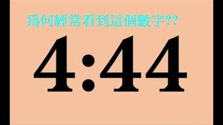 你常看到「444」或擁有這數字嗎？恭喜你！這組數字暗藏重大信息 [upl. by Duax822]