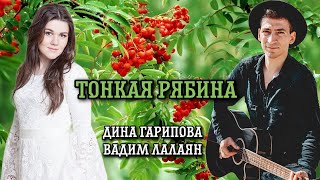 Тонкая рябина  Народная песня  Дина Гарипова и Вадим Лалаян [upl. by Peyter223]