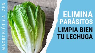 Cómo DESPARASITARTE y LAVAR una LECHUGA 🥬 [upl. by Terence]