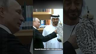 President Putin in UAE russia uae putin sheikhzayed usa mbs shorts ytshorts russmika24 [upl. by Deragon279]