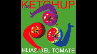 Las Ketchup  The Ketchup Song Asereje Hippy Version [upl. by Nickola]