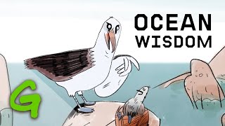 Wisdoms wise words on ocean protection  Greenpeace [upl. by Liederman]