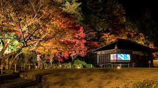 ２０１６ 兵庫県たつの市龍野公園 聚遠亭のライトアップ [upl. by Plath]