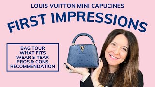 IMPULSE BUY OR WORTH IT Louis Vuitton Mini Capucines First Impressions amp Review [upl. by Ping]