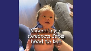 Assessing a baby from head to toe [upl. by Kennard]