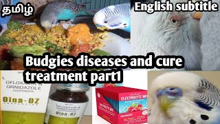 Budgies diseases and cure treatment part 1 and part 2 in tamil [upl. by Danika]