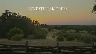 Dylan Gossett  Beneath Oak Trees [upl. by Laiceps]