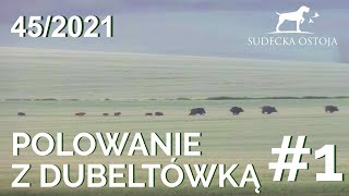 SUDECKA OSTOJA 452021 Polowanie na dziki z dubeltówka cz1 Wild boar shotgun hunting [upl. by Trinetta]