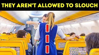 20 Things Flight Attendants Cant Do at Any Price [upl. by Dreyer]