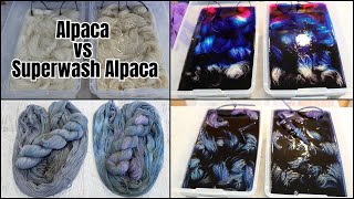 Dyepot Weekly 532  Shoebox Dyeing Alpaca Yarn Superwash vs Non Superwash Yarn [upl. by Lennej452]