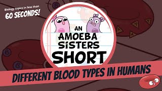 Different Blood Types in Humans  Amoeba Sisters Shorts [upl. by Emoryt]