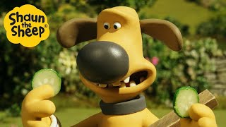 Shaun the Sheep 🐑 Bitzer Relaxing  Cartoons for Kids 🐑 Full Episodes Compilation 1 hour [upl. by Arrimat]