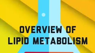 Overview of Lipid Metabolism lipidmetabolism biochemistry mbbsfirstyear lipids [upl. by Vladamir228]