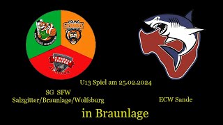 SG SFW VS ECW Sande in Brauenlage [upl. by Magas505]