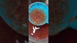 Frozen artemia quality food fish feed quality frozen malayalam farm breeding growth guppy [upl. by Atteoj]