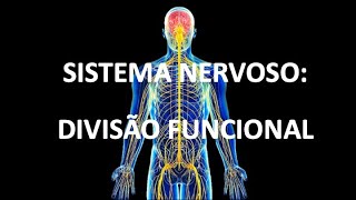 SISTEMA NERVOSO DIVISÃO FUNCIONAL [upl. by Corwin]