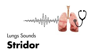 Stridor  Lung Sounds  MEDZCOOL [upl. by Lledo]