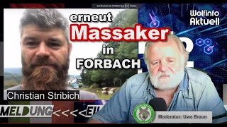 Wolfinfo Aktuell Erneut Massaker in Forbach [upl. by Eilraep]