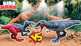 Megaraptor VS Tarbosaurus  And Continue Dinosaur Mattel Toys Collection [upl. by Murton]