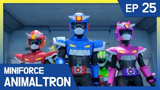 Miniforce Animaltron 🦁Ep25 Tri Cop’s Sacrifice [upl. by Ettelimay165]