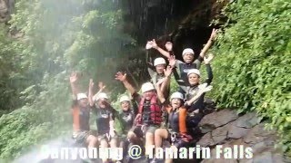 Canyoning Mauritius [upl. by Allevon15]