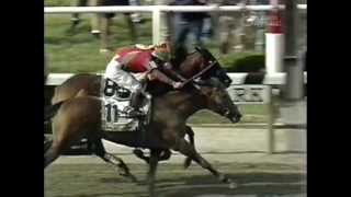 The Belmont Stakes  Triple Crown Near Misses [upl. by Wyne331]