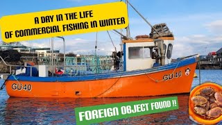 UK COMMERCIAL FISHING HUGE LOBSTERS AND FOREIGN OBJECT FOUND [upl. by Delwin]