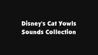 Disneys Cat Yowls Sounds Collection [upl. by Yorker]