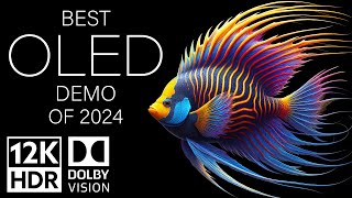 BEST OLED DEMO OF 2024  DOLBY VISION 12K HDR 120fps [upl. by Deena]